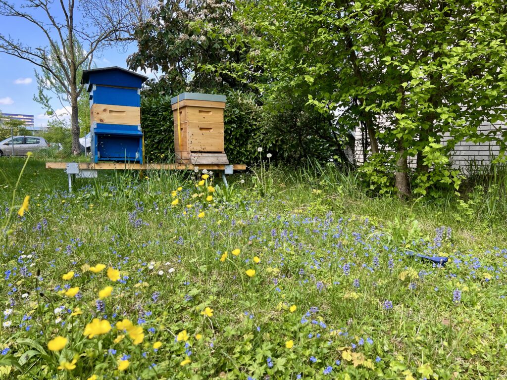 Bienenstand von Turicum Honig